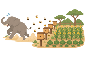 ハチを避けて農地から離れるゾウと養蜂箱フェンスの仕組みを示すイラスト