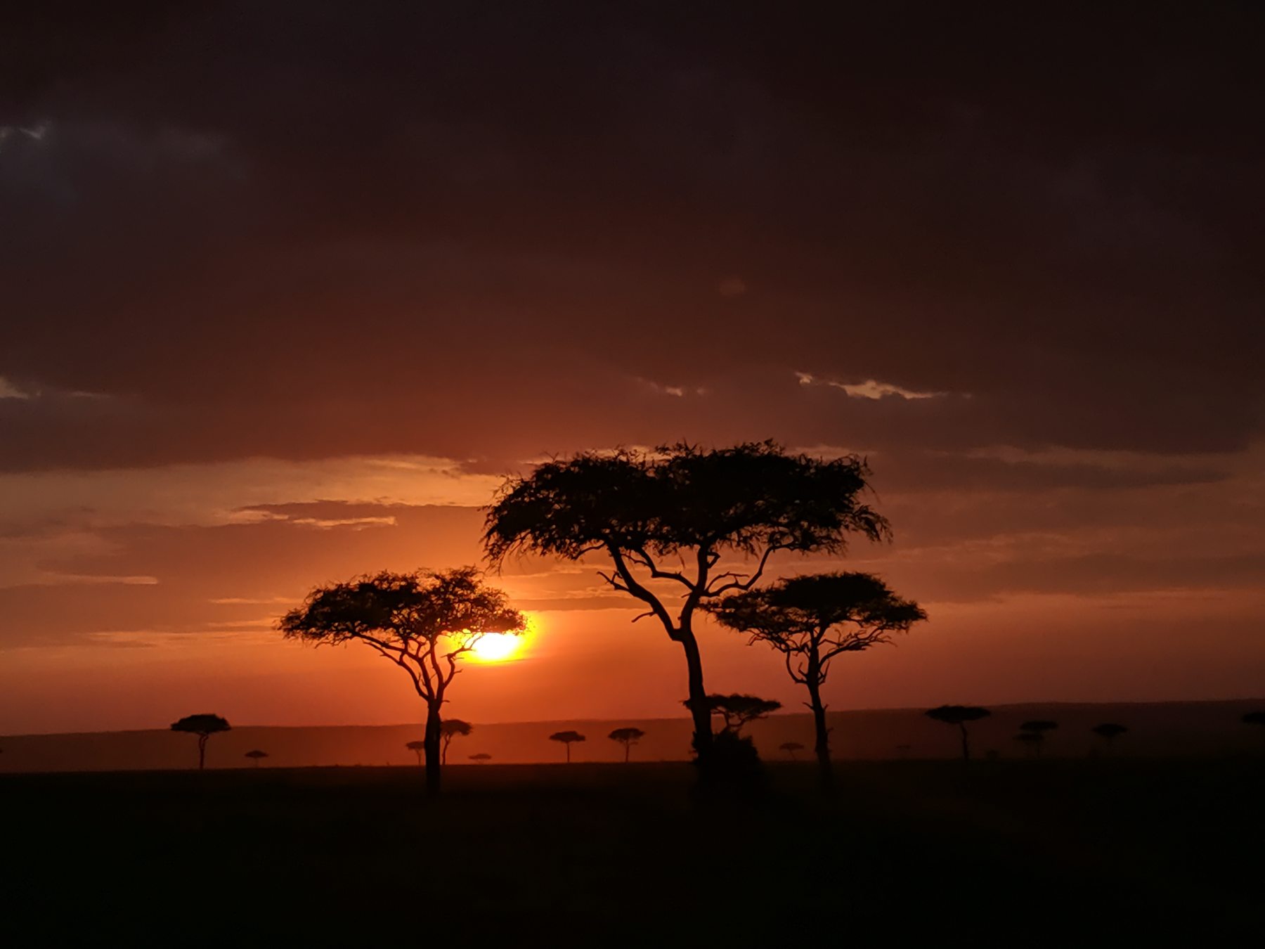 マサイマラの夕景
